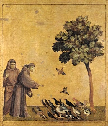 Francis and the Birds