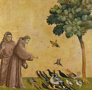 St Francis