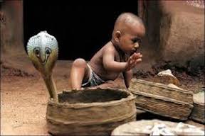 child and viper