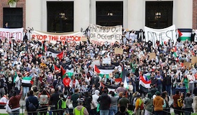 Harvard protest