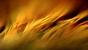 Spirit as Fire