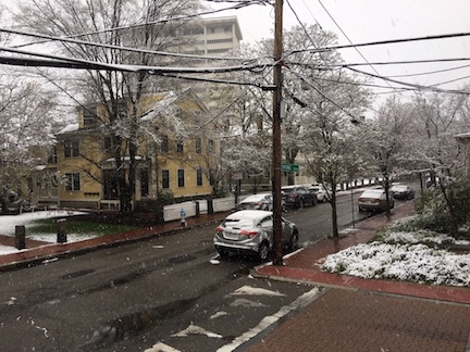 snow in Cambridge April 18
