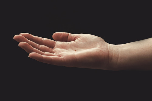 mustard seed