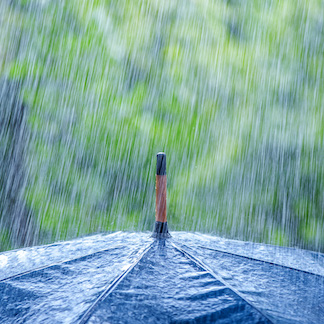 rain