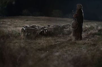 shepherds at night